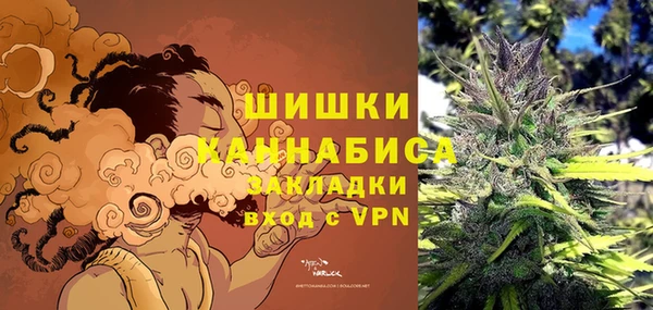 сатива Балабаново