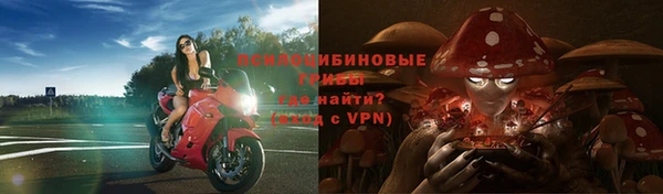 мдпв Армянск