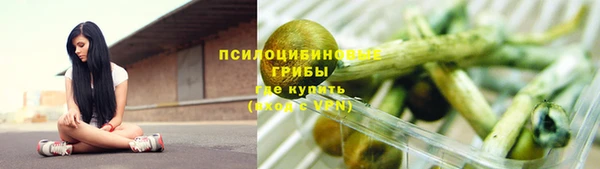 ГАЛЛЮЦИНОГЕННЫЕ ГРИБЫ Сосновый Бор