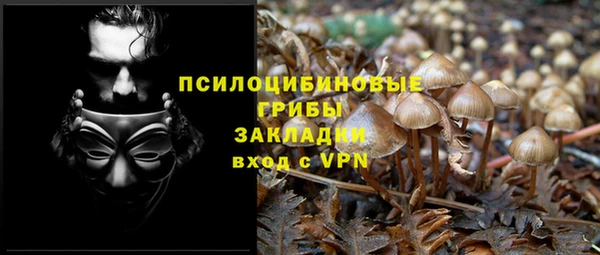 сатива Балабаново