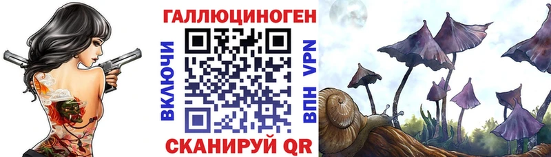 Галлюциногенные грибы мухоморы  darknet телеграм  Новомосковск  omg tor 
